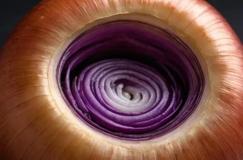 Kraken Onion Kraken Onion