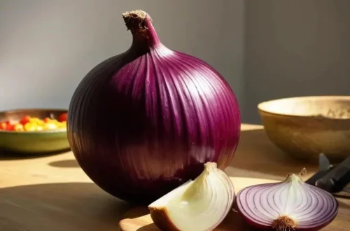 Kraken Onion Kraken Onion